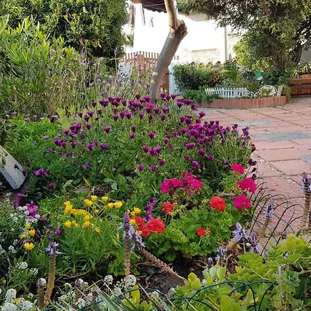 Villa Manuela Sul Mare S'archittu Cuglieri