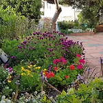 Villa Manuela Sul Mare S'archittu Cuglieri